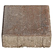 Seesteiner Pflasterstein Piazza Antik (L x B x S: 15 x 15 x 5 cm, Muschelkalk, Beton) | BAUHAUS