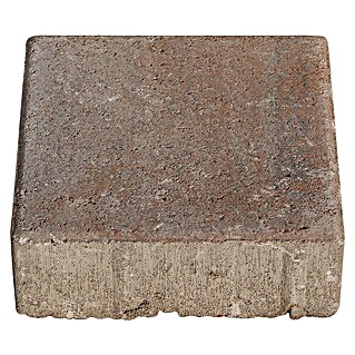 Seesteiner Pflasterstein Piazza Antik (L x B x S: 15 x 15 x 5 cm, Muschelkalk, Beton, Kantenverarbeitung: Gebrochen)