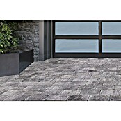 Seesteiner Pflasterstein Piazza Antik (L x B x S: 22,5 x 15 x 5 cm, Anthrazit schattiert, Beton) | BAUHAUS