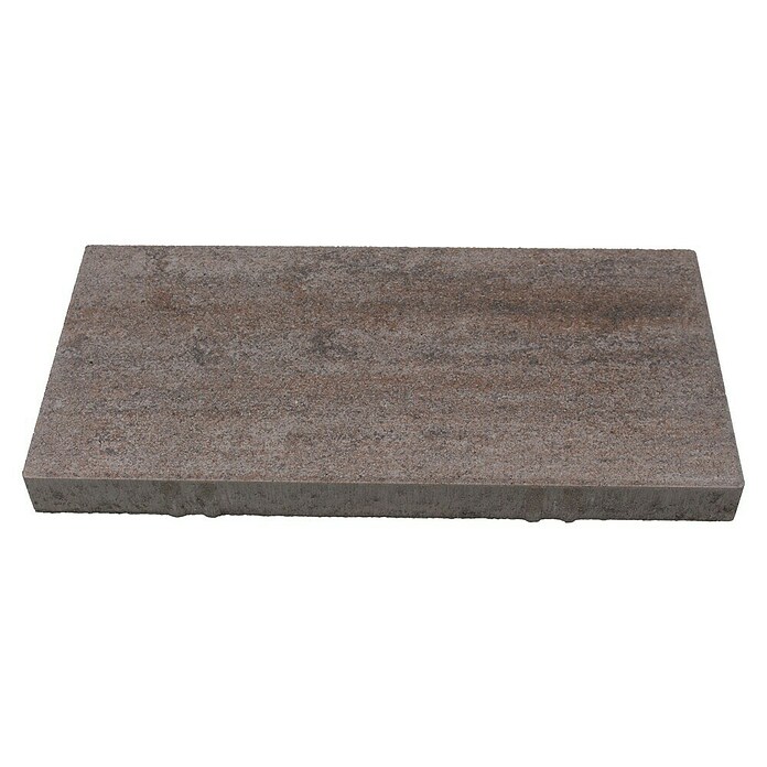 Seesteiner Terrassenplatte Piazza (50 x 25 x 4 cm, Muschelkalk, Beton) | BAUHAUS