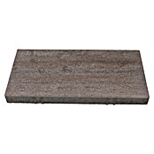 Seesteiner Terrassenplatte Piazza (50 x 25 x 4 cm, Muschelkalk, Beton) | BAUHAUS
