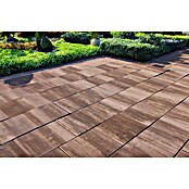 Seesteiner Pflasterstein Piazza (L x B x H: 50 x 50 x 4 cm, Mediterran) | BAUHAUS