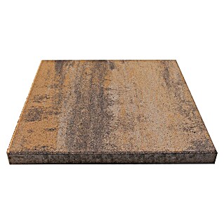 Seesteiner Pflasterstein Piazza (L x B x H: 50 x 50 x 4 cm, Mediterran, Quadratisch)
