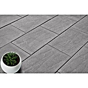 Seesteiner Terrassenplatte (60 x 40 x 3,8 cm, Schieferstruktur, Beton) | BAUHAUS