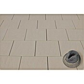 Seesteiner Terrassenplatte Torino (40 x 40 x 3,8 cm, Crema, Beton) | BAUHAUS