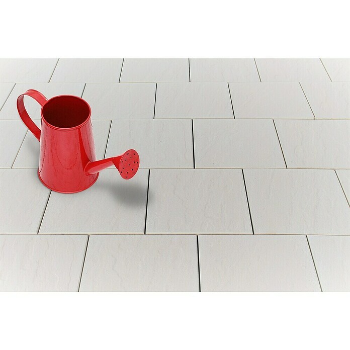Seesteiner Terrassenplatte Torino (40 x 40 x 3,8 cm, Crema, Beton) | BAUHAUS