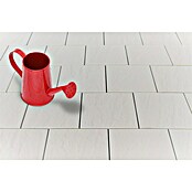 Seesteiner Terrassenplatte Torino (40 x 40 x 3,8 cm, Crema, Beton) | BAUHAUS