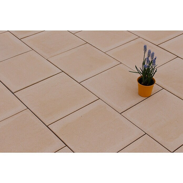 Seesteiner Terrassenplatte Torino (40 x 40 x 3,8 cm, Elfenbein, Beton) | BAUHAUS