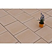 Seesteiner Terrassenplatte Torino (40 x 40 x 3,8 cm, Elfenbein, Beton) | BAUHAUS