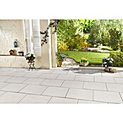 Seesteiner Terrassenplatte Torino (60 x 40 x 3,8 cm, Crema, Beton) | BAUHAUS