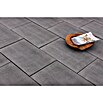 Seesteiner Terrassenplatte Torino (60 x 40 x 3,8 cm, Anthrazit, Beton) | BAUHAUS