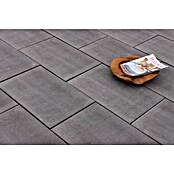 Seesteiner Terrassenplatte Torino (60 x 40 x 3,8 cm, Anthrazit, Beton) | BAUHAUS