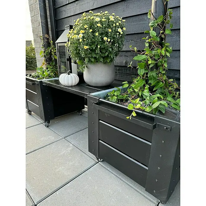 Plus Pflanzkasten Cubic - Außenmaß (L x B x H): 46 x 50 x 45 cm, Holz, Schwarz - Schwarze modulare Pflanzgefäße aus Holz auf Rollen, durch ein Regal verbunden, mit Pflanzen und Deko.