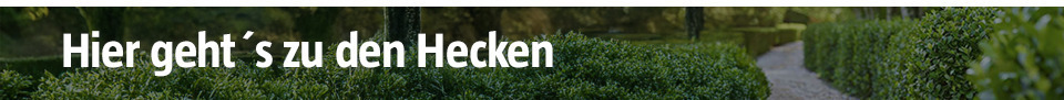 Hecken