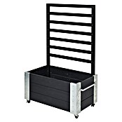 Plus Pflanzkasten Cubic mit Spalier (Außenmaß (L x B x H): 87 x 50 x 130 cm, Holz, Schwarz/Silber) | BAUHAUS