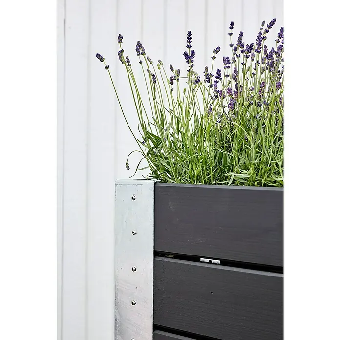 Plus Pflanzkasten Cubic - Außenmaß (L x B x H): 120 x 50 x 95 cm, Holz, Schwarz/Silber - Dunkelgrauer Holzpflanzkasten mit Metallecke, gefüllt mit blühendem violettem Lavendel.
