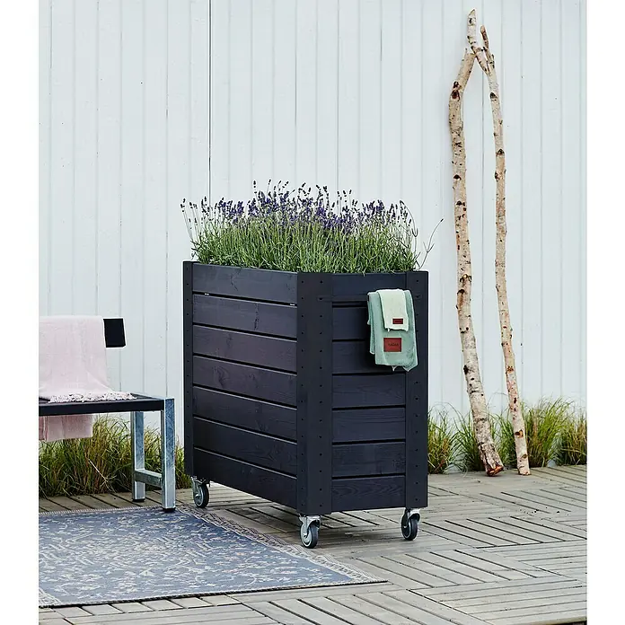 Plus Pflanzkasten Cubic - Außenmaß (L x B x H): 120 x 50 x 95 cm, Holz, Schwarz - Dunkles Holzpflanzgefäß auf Rollen, mit Lavendel bepflanzt, auf einer Holzterrasse. Ein hellgrünes Handtuch hängt an der Seite.
