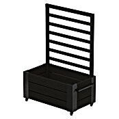 Plus Pflanzkasten Cubic mit Spalier (Außenmaß (L x B x H): 87 x 50 x 155 cm, Holz, Schwarz) | BAUHAUS