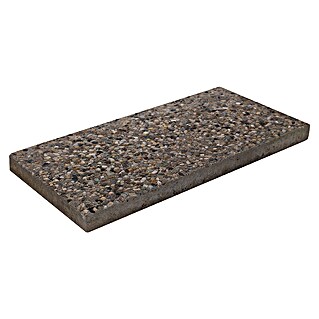 Seesteiner Waschbetonplatte (49,7 x 24,7 x 3,7 cm, Natur/Beige, Beton)
