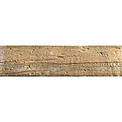 Gehwegplatte Woodstock (L x B x S: 89 x 25 x 4,5 cm, Birke, Beton)