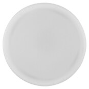 LED-Steckdosenspot (Ø x H: 6,3 x 10,4 cm, Weiß, 10 W, 1.000 lm, Dimmbar) | BAUHAUS