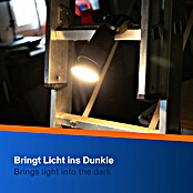 LED-Steckdosenspot (Ø x H: 6,3 x 10,4 cm, Weiß, 10 W, 1.000 lm, Dimmbar) | BAUHAUS