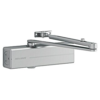 Assa Abloy Türschließer DC 200 (L x B x H: 223 x 60 x 47 mm, Max. Türbreite: 1.100 mm, Passend für: Feuerschutztür, für Rauchschutztür, Silber)