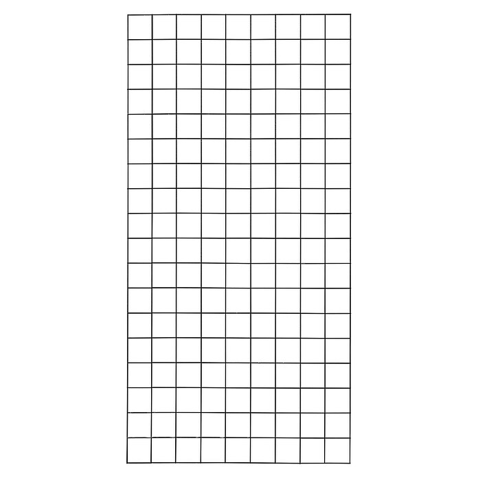 Plus Wandspalier Maschengröße: 10 x 10 cm (L x B: 180 x 90 cm, Anzahl Streben: 10 Stk., Schwarz (RAL 9005)) | BAUHAUS