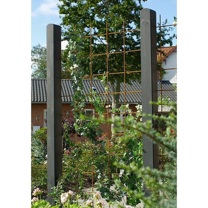 Plus Wandspalier Maschengröße: 15 x 15 cm (L x B: 180 x 90 cm, Anzahl Streben: 6 Stk., Rostbraun) | BAUHAUS