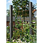 Plus Wandspalier Maschengröße: 15 x 15 cm (L x B: 180 x 90 cm, Anzahl Streben: 6 Stk., Rostbraun) | BAUHAUS