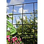 Plus Wandspalier Maschengröße: 10 x 10 cm (L x B: 140 x 90 cm, Anzahl Streben: 10 Stk., Schwarz (RAL 9005)) | BAUHAUS