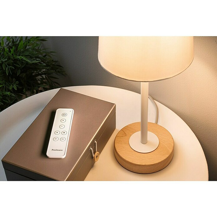 Paulmann Smart Home ZigBee Fernbedienung (L x B x H: 12,5 x 3,5 x 1 cm, Weiß) | BAUHAUS