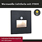 Paulmann LED-Wandstrahler (2,2 W, L x B x H: 4,2 x 8 x 8 cm, Schwarz, Warmweiß) | BAUHAUS