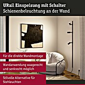 Paulmann URail Stromeinspeisung (Schwarz matt, 240 cm) | BAUHAUS