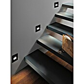 Paulmann Foco de pared LED (2,2 W, L x An x Al: 4,2 x 8 x 8 cm, Negro, Blanco cálido) | BAUHAUS