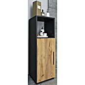 VCM Flandu Midischrank (B x T x H: 31 x 32 x 93 cm, Anthrazit/Honig-Eiche, Matt) | BAUHAUS