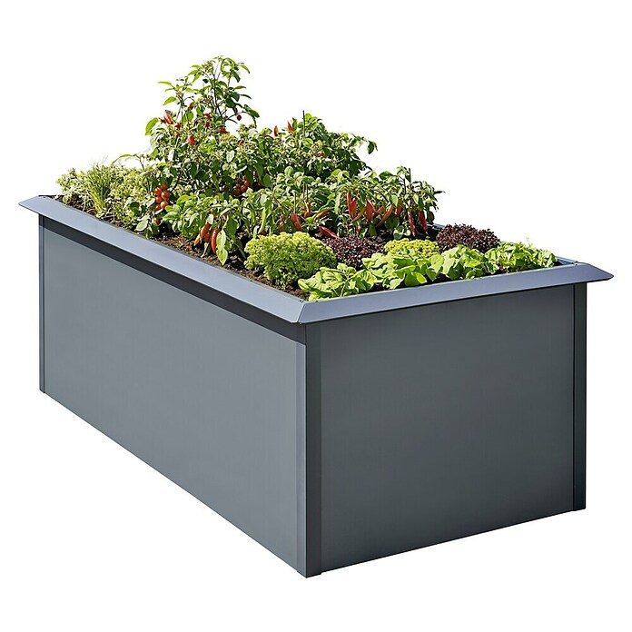 Gardol Hochbeet doppelwandig (200 x 100 x 76 cm, Stahl, Anthrazit) | BAUHAUS
