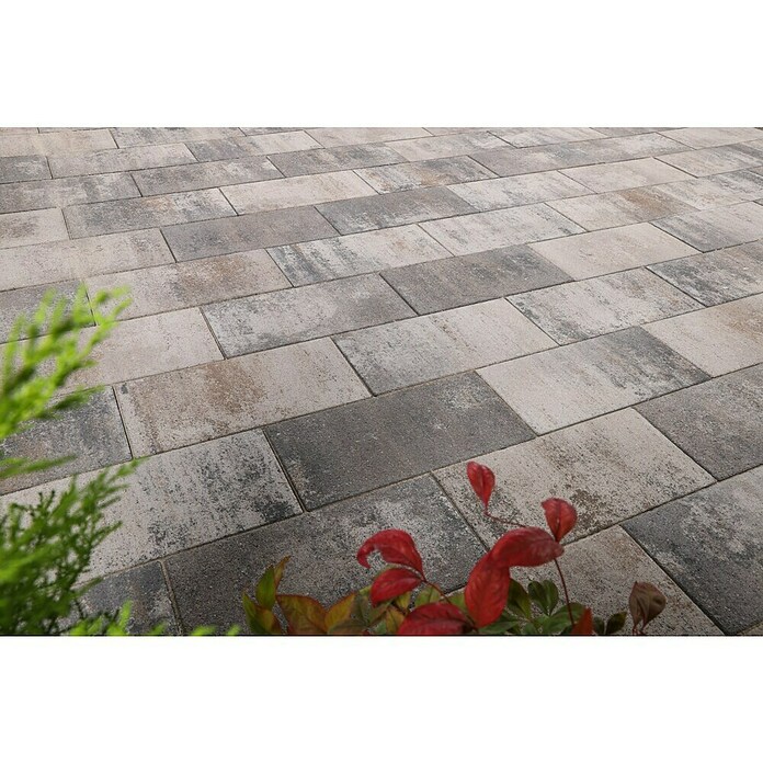EHL Pflasterstein Cortona (Muschelkalk, 40 x 20 x 8 cm, Rechteckig) | BAUHAUS