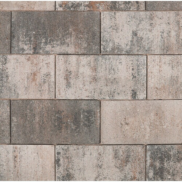 EHL Pflasterstein Cortona (Muschelkalk, 40 x 20 x 8 cm, Rechteckig) | BAUHAUS