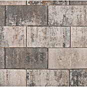 EHL Pflasterstein Cortona (Muschelkalk, 40 x 20 x 8 cm, Rechteckig) | BAUHAUS