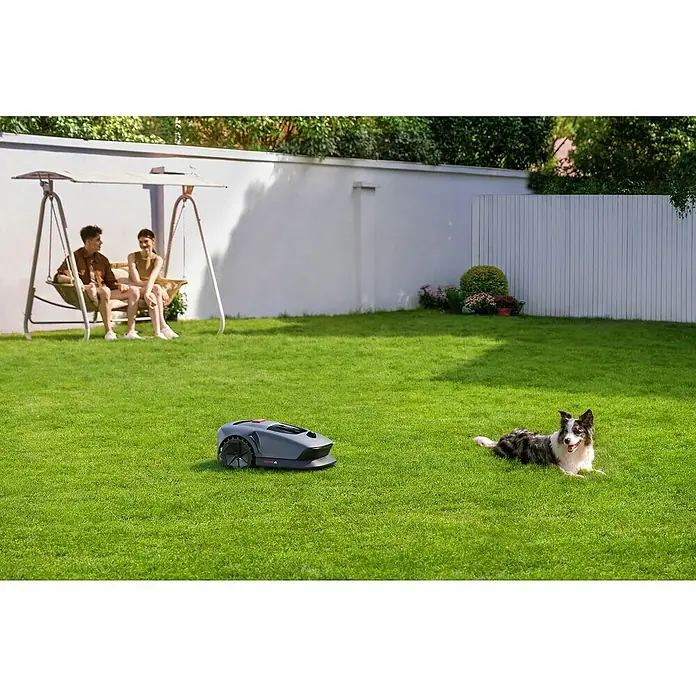 Mova Mähroboter 600 Plus - 600 m², Schnittbreite: 20 cm, Laser-gestützte Navigation, LiDAR - Rasenmäher-Roboter in Aktion, während ein Border Collie im Garten liegt und sich ein Paar auf einer Schaukel entspannt.