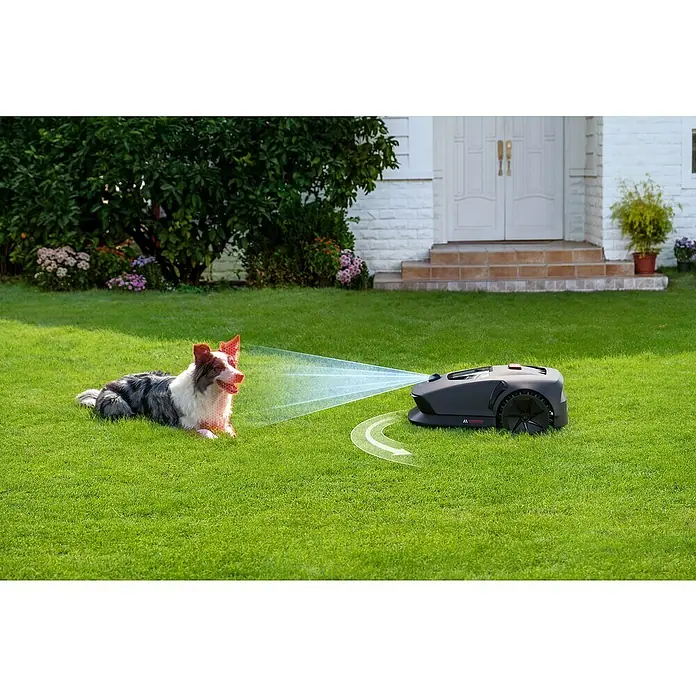 Mova Mähroboter 600 Plus - 600 m², Schnittbreite: 20 cm, Laser-gestützte Navigation, LiDAR - Intelligenter Mähroboter im Einsatz, der mit Sensoren einen Hund erkennt und umfährt, um sicheres Rasenmähen zu gewährleisten.