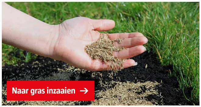 gras-inzaaien-banner