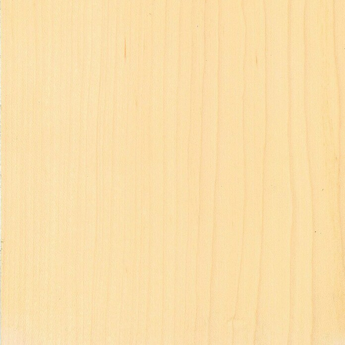 Sockelleiste SF253L/SU153L (L x B x H: 2 500 x 16 x 58 mm, Ahorn) | BAUHAUS