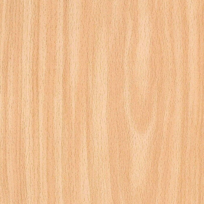 Sockelleiste FUO60L (2 400 x 19 x 58 mm, MDF, Buche hell) | BAUHAUS