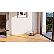 Sockelleiste FUO60L (2 400 x 19 x 58 mm, MDF, Buche hell) | BAUHAUS