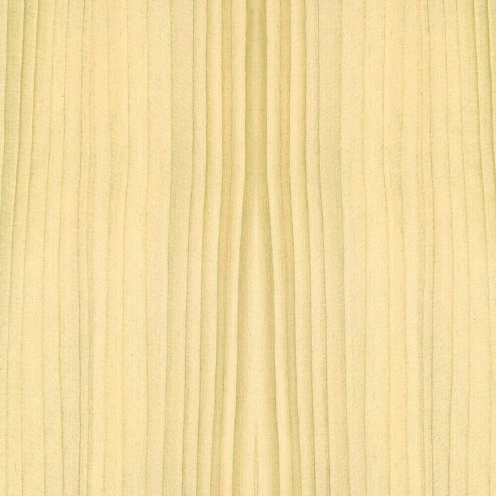 Profiles and more Sockelleiste SU18L (250 cm x 18,5 mm x 38,5 mm, MDF, Fichte lackiert) | BAUHAUS