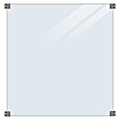 Plus Sichtschutzzaun für quadratische Pfosten (90 x 91 cm, Transparent, 8,7 mm) | BAUHAUS