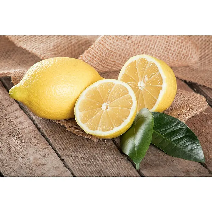 Zitronenbaum - Citrus limon, Topfgröße: 20 cm - Drei Zitronen, eine ganz und zwei halbiert, liegen dekorativ auf einem Holztisch mit Juteunterlage. Frische, saure Zitrusfrüchte in Szene gesetzt.