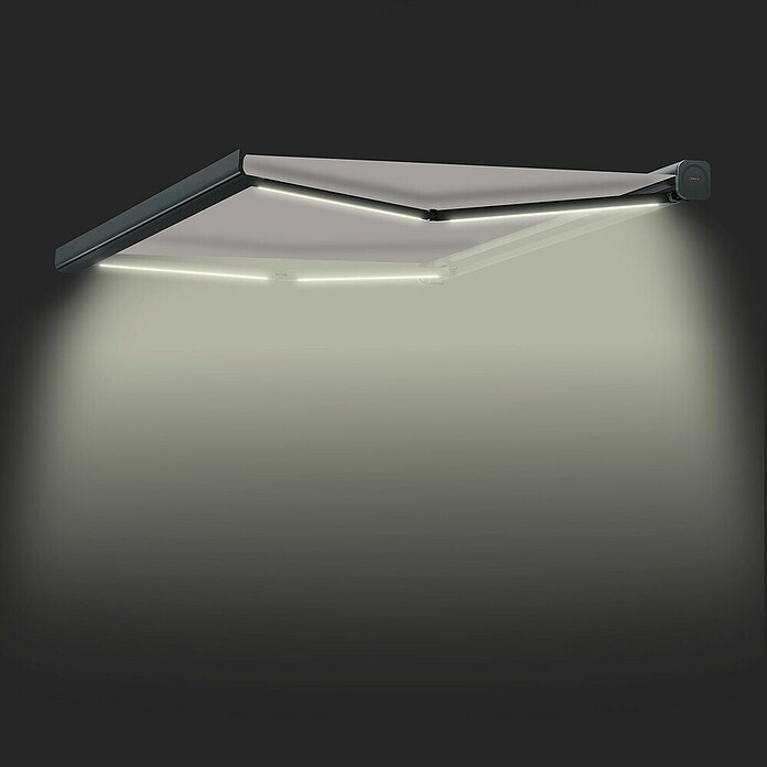 SmartSun Toldo con motor Dark Algarve (Gris, Ancho: 4,75 cm, Caída: 3 m) | BAUHAUS
